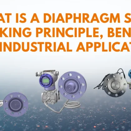 Diaphragm Seal